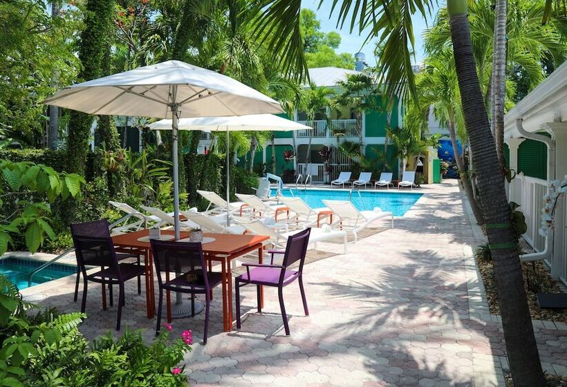 ホテル Almond Tree Inn  Adults Only