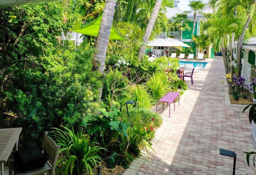 ホテル Almond Tree Inn  Adults Only