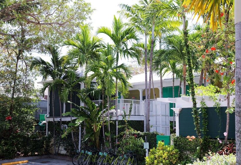 فندق Almond Tree Inn  Adults Only