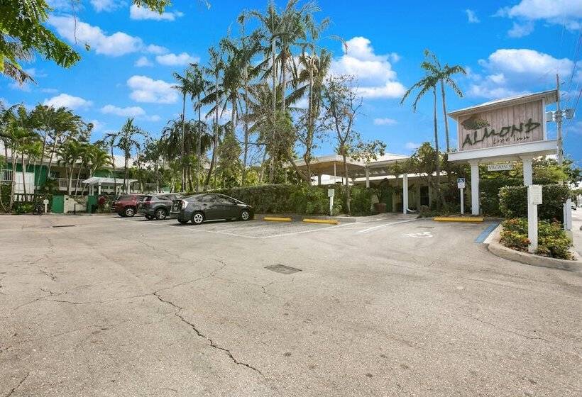 ホテル Almond Tree Inn  Adults Only