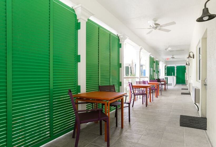 ホテル Almond Tree Inn  Adults Only