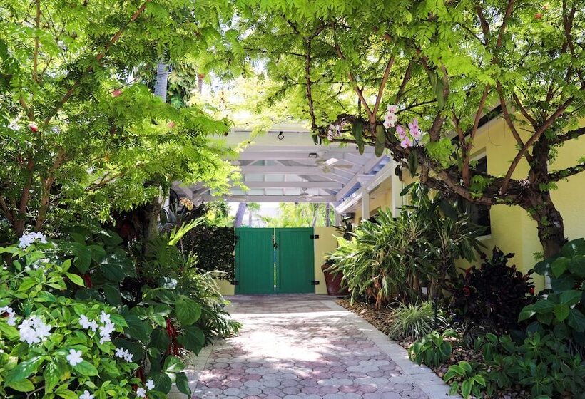 ホテル Almond Tree Inn  Adults Only