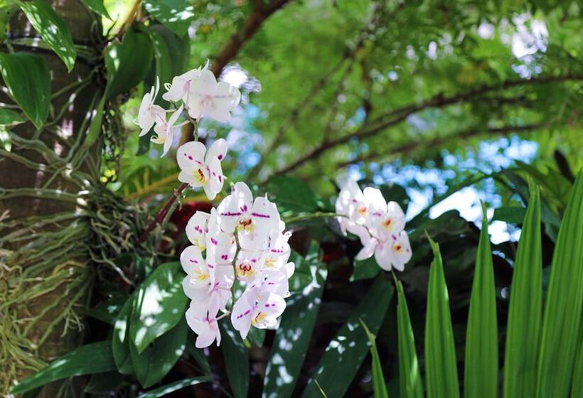 فندق Almond Tree Inn  Adults Only