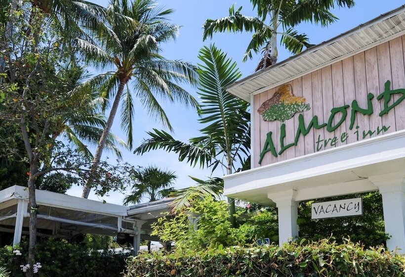 ホテル Almond Tree Inn  Adults Only