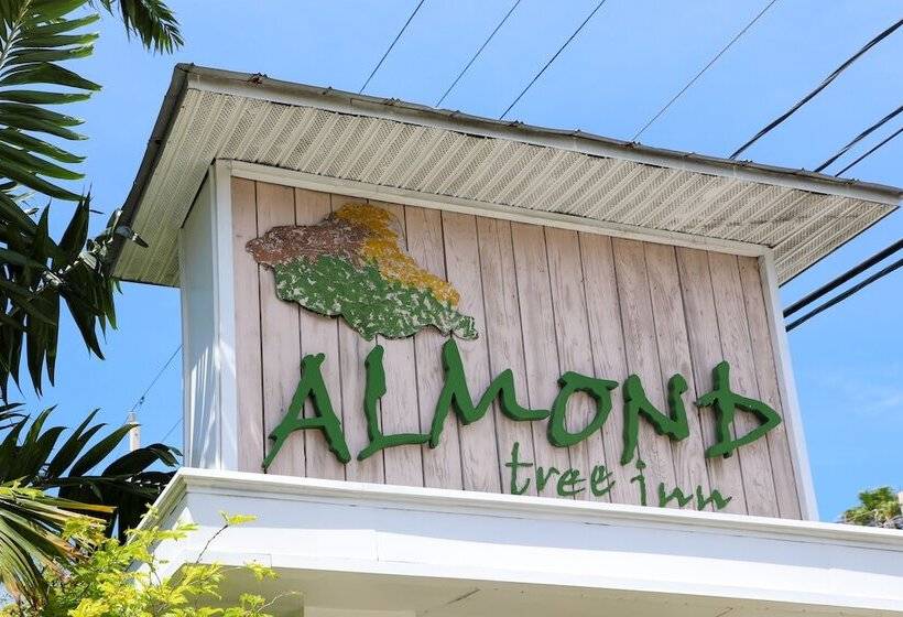 ホテル Almond Tree Inn  Adults Only