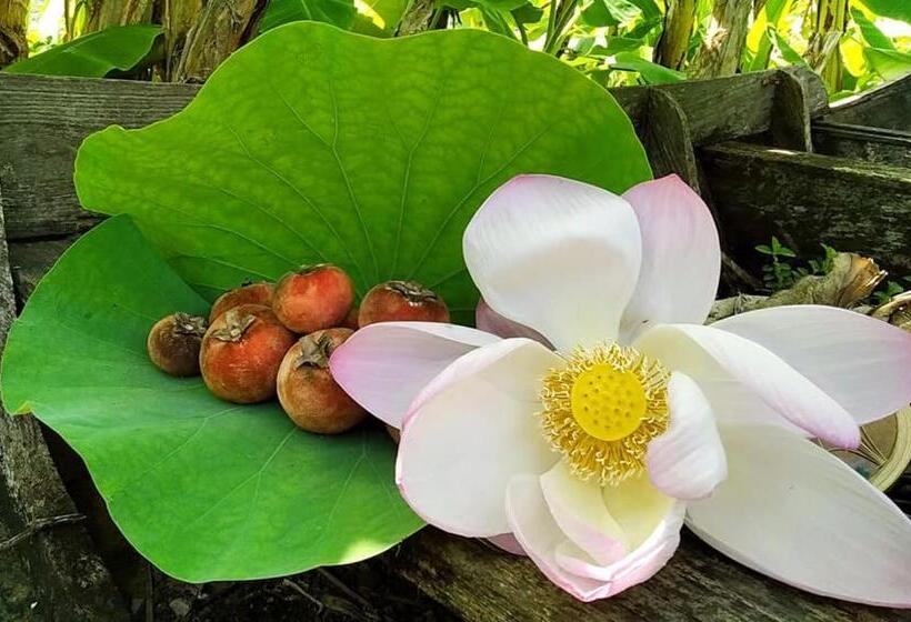 فندق Ayutthaya Garden River Home