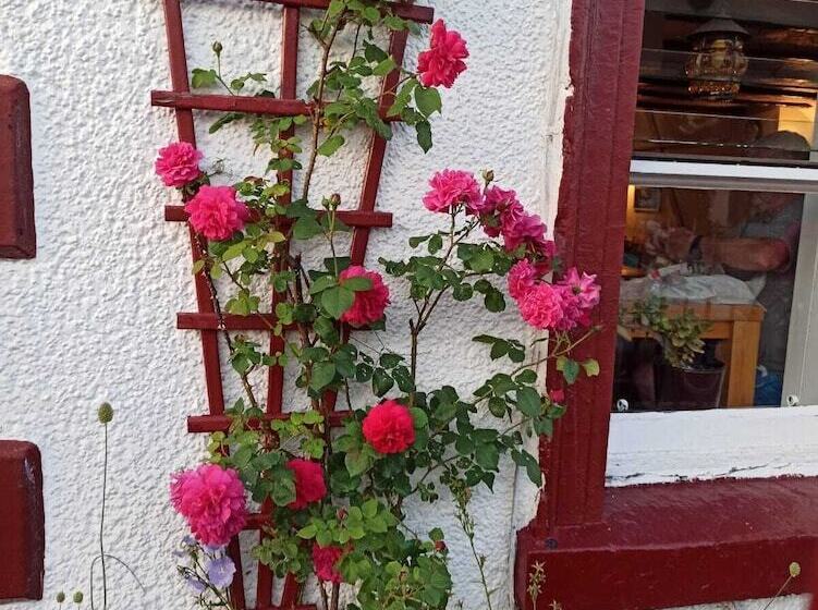 בית מלון כפרי Balmoral