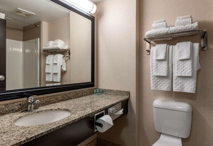 בית מלון כפרי Best Western Bonnyville Inn & Suites