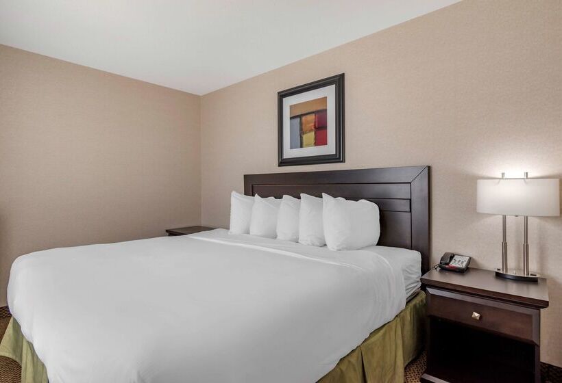 בית מלון כפרי Best Western Bonnyville Inn & Suites