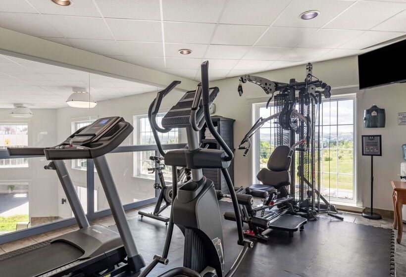 호텔 Best Western Plus Edmundston