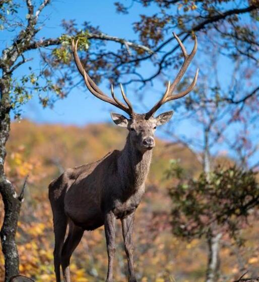 בית מלון כפרי Bourazani Wild Life Resort