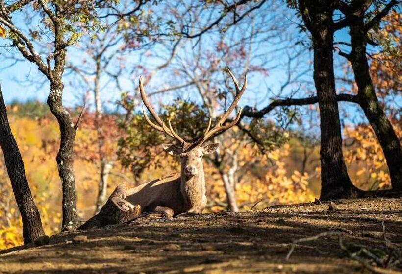 בית מלון כפרי Bourazani Wild Life Resort