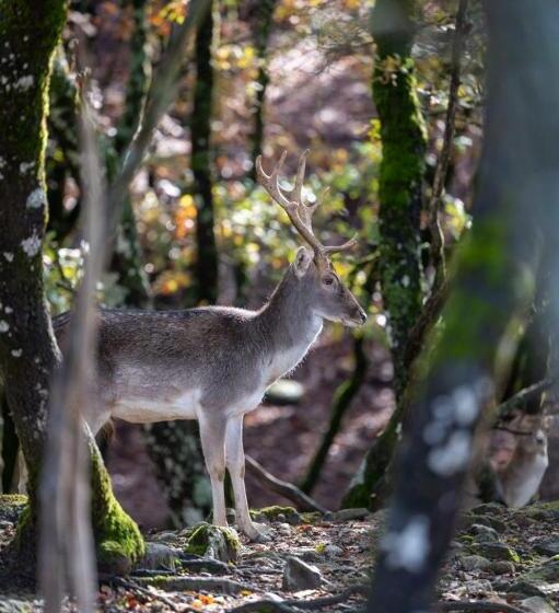 בית מלון כפרי Bourazani Wild Life Resort
