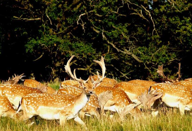 בית מלון כפרי Bourazani Wild Life Resort