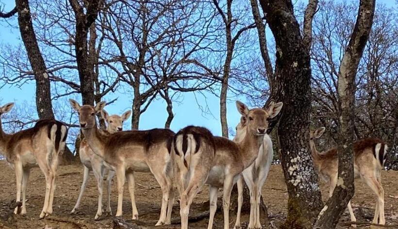 בית מלון כפרי Bourazani Wild Life Resort