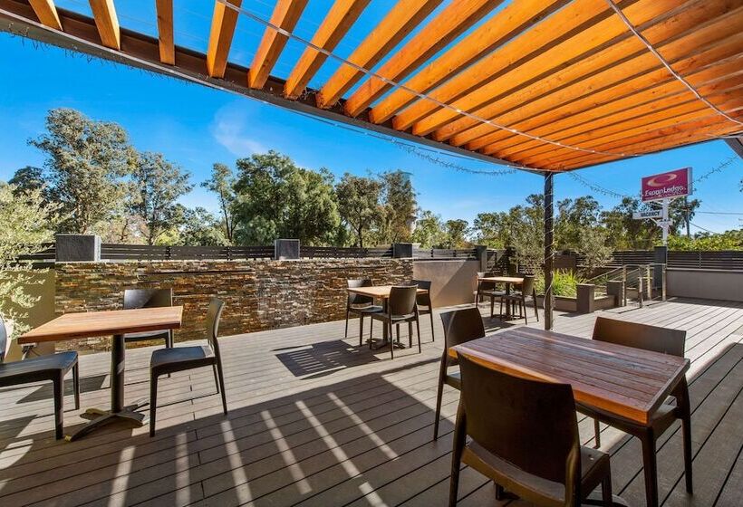 בית מלון כפרי Econo Lodge Moree Spa Motor Inn