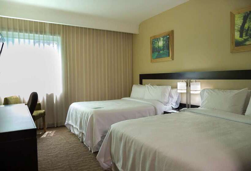 فندق Excellence Express & Suites