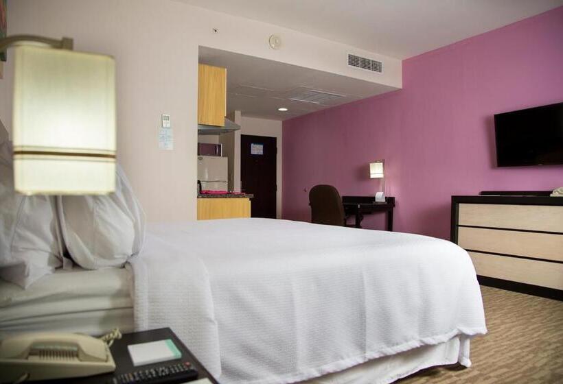 فندق Excellence Express & Suites