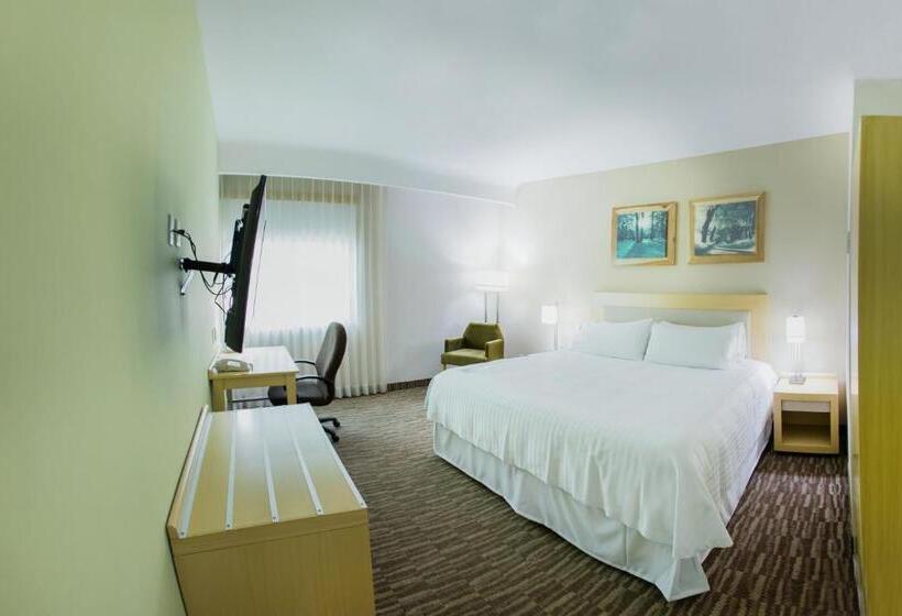 فندق Excellence Express & Suites