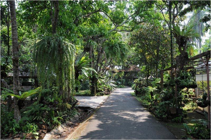 酒店 Fern Paradise