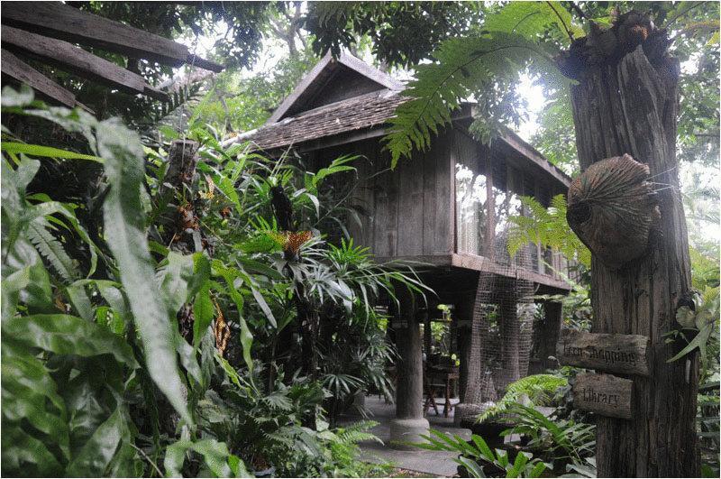 酒店 Fern Paradise