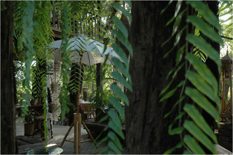 酒店 Fern Paradise