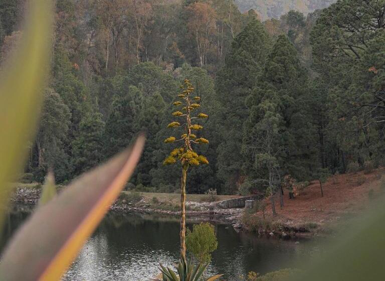 Отель Hacienda De La Luz