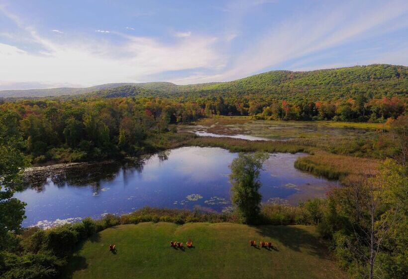 هتل Hampton Inn & Suites Berkshires Lenox