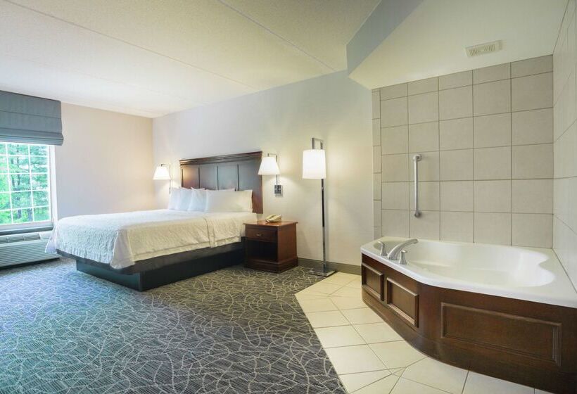 ホテル Hampton Inn & Suites Berkshires Lenox