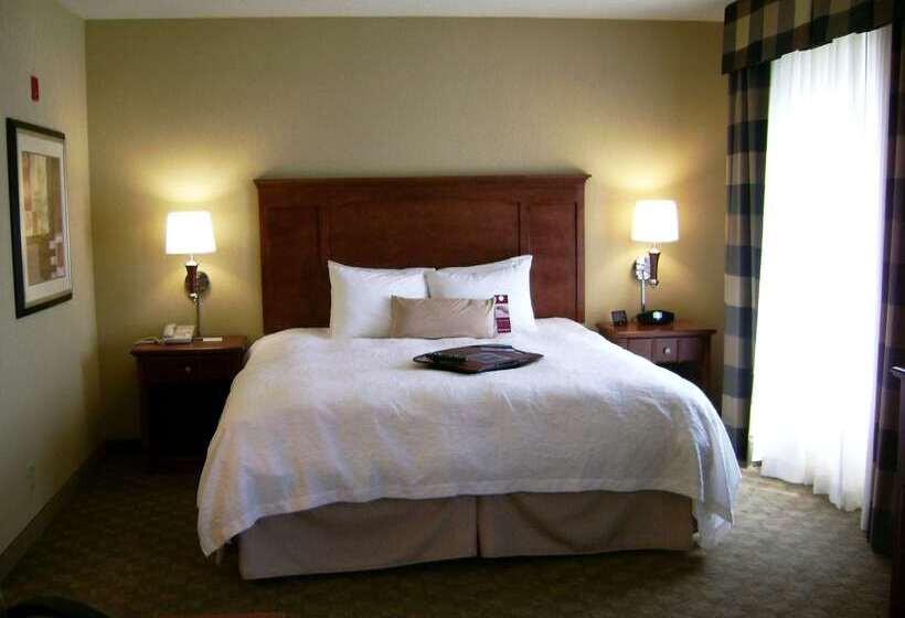 酒店 Hampton Inn & Suites Paducah