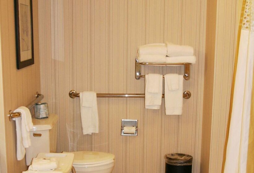 酒店 Hampton Inn & Suites Paducah