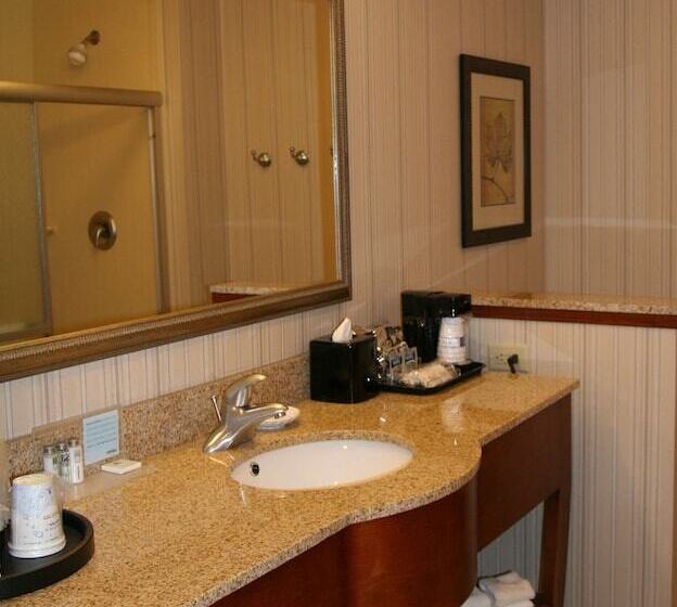 酒店 Hampton Inn & Suites Paducah