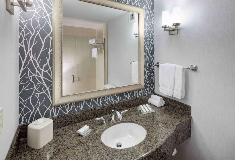 ホテル Hilton Garden Inn Detroit/novi