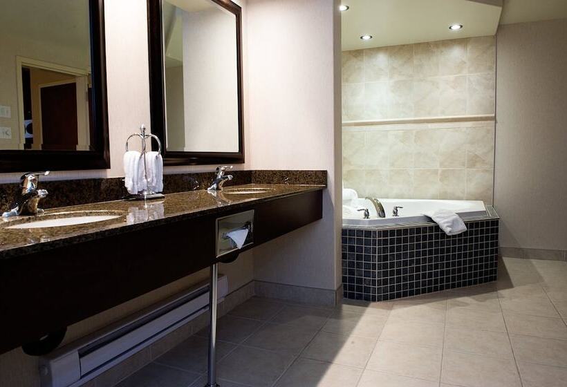 Holiday Inn Hotel & Suites West Edmonton, An Ihg