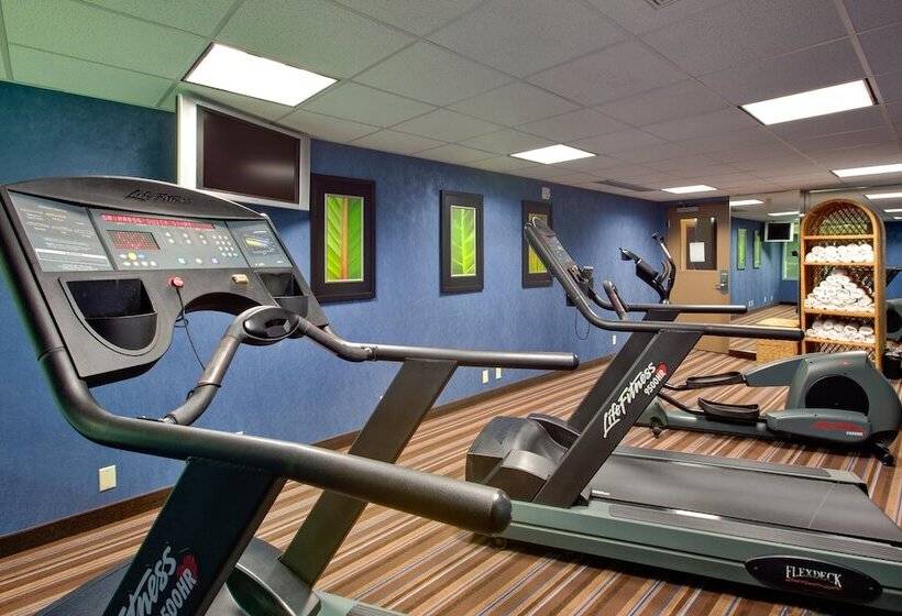 Holiday Inn Express Hotel & Suites Chatham South, An Ihg