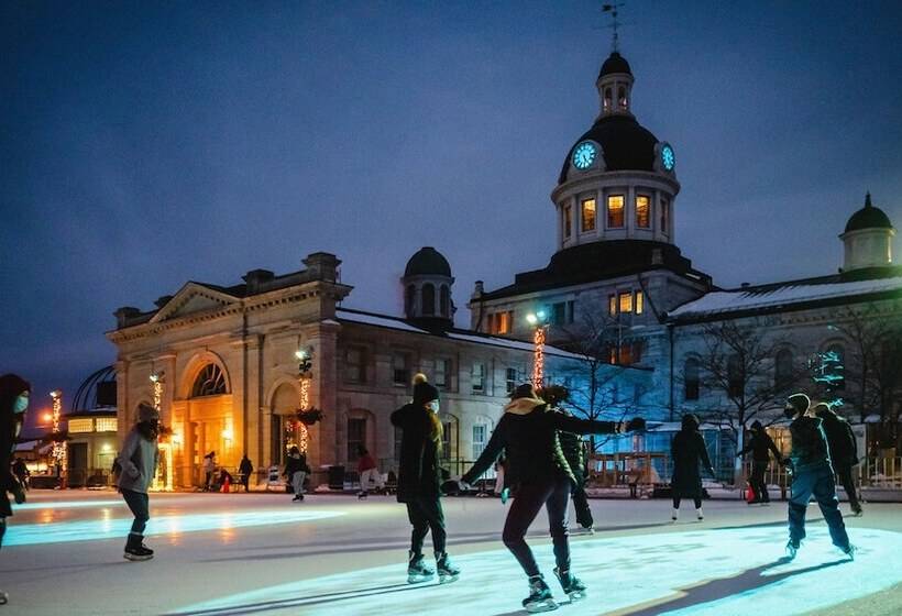 酒店 Holiday Inn Express Kingston Central, An Ihg