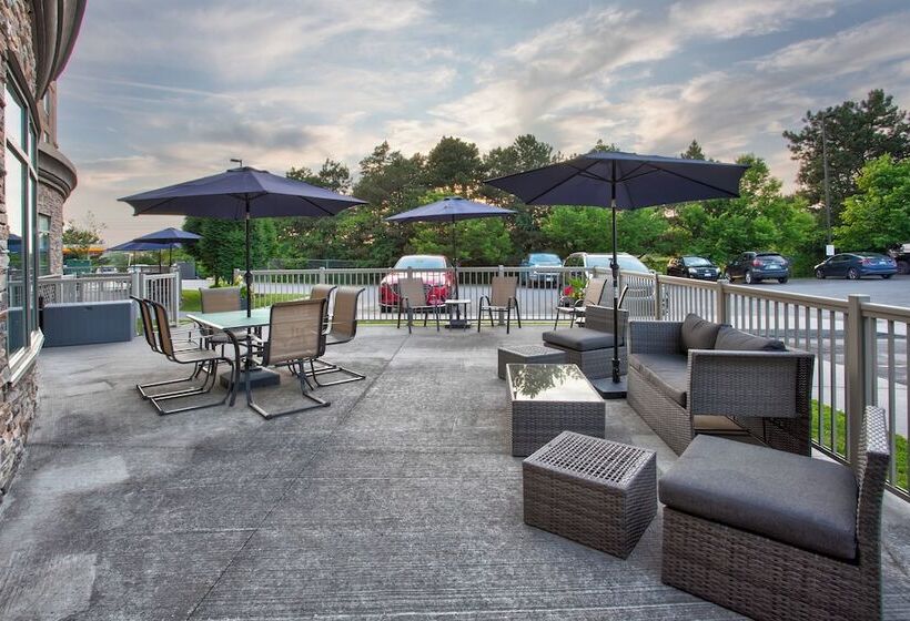 酒店 Holiday Inn Express Kingston Central, An Ihg