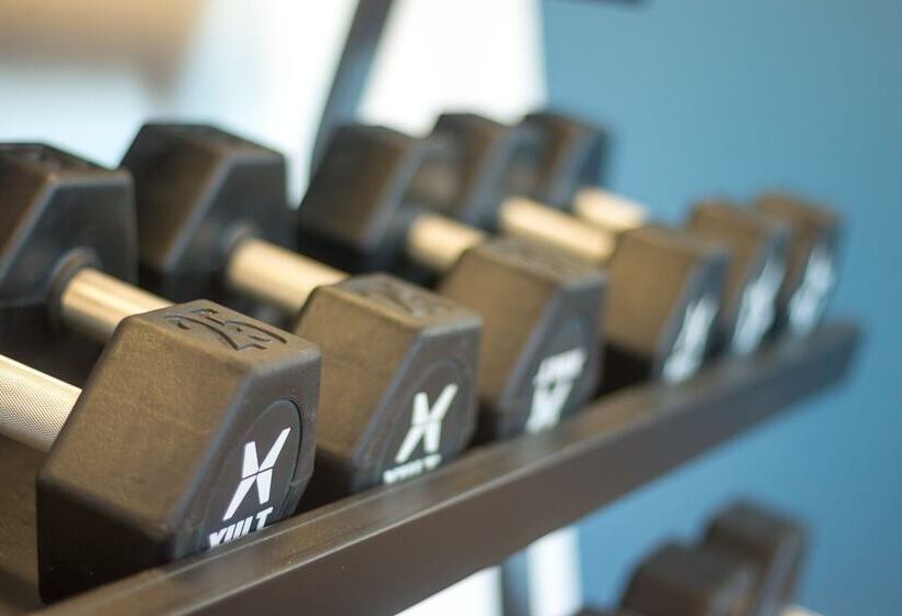 酒店 Holiday Inn Express Kingston Central, An Ihg