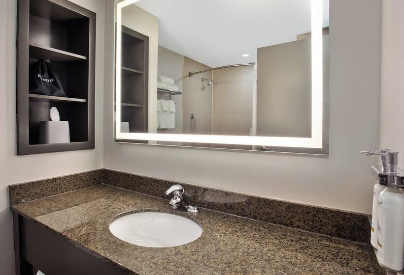 酒店 Holiday Inn Express Kingston Central, An Ihg