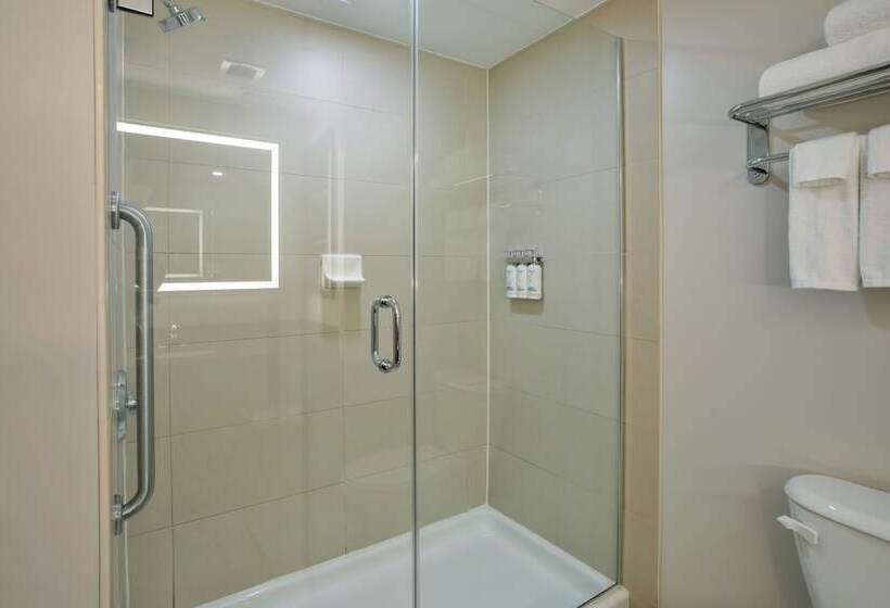 酒店 Holiday Inn Express Kingston Central, An Ihg