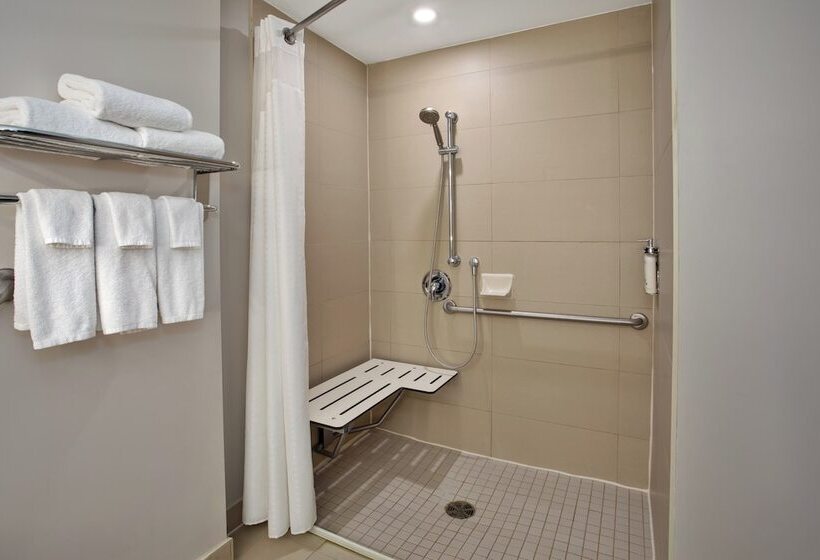 酒店 Holiday Inn Express Kingston Central, An Ihg