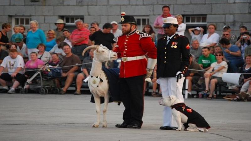 酒店 Holiday Inn Express Kingston Central, An Ihg