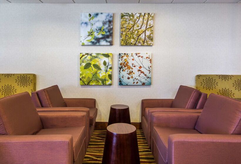 فندق Homewood Suites By Hilton Denver West  Lakewood