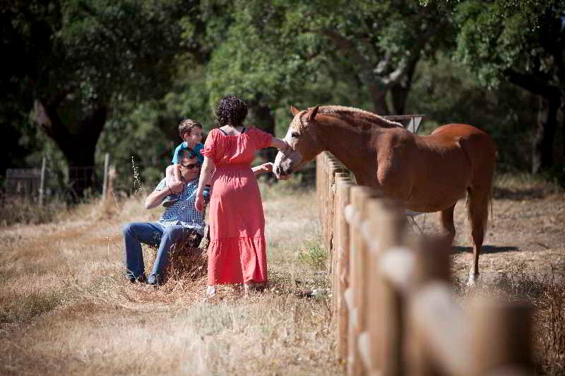 ホテル Monte Do Giestal  Casas De Campo & Spa