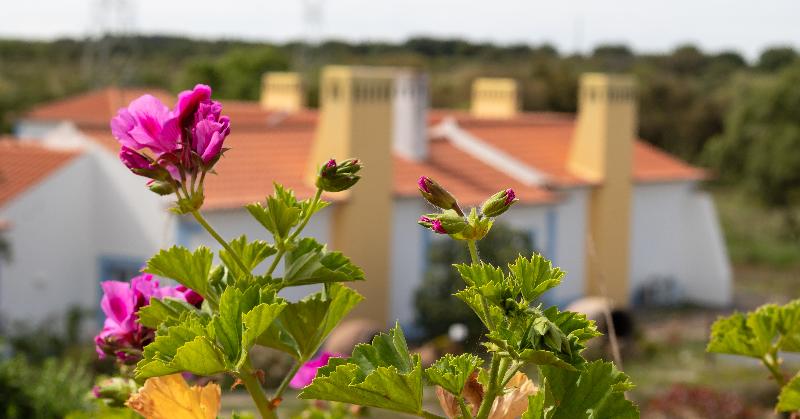 ホテル Monte Do Giestal  Casas De Campo & Spa