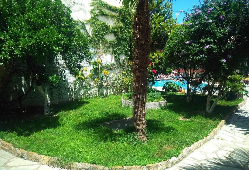 בית מלון כפרי Pelli