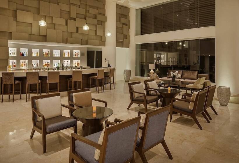 호텔 Playacar Palace All Inclusive