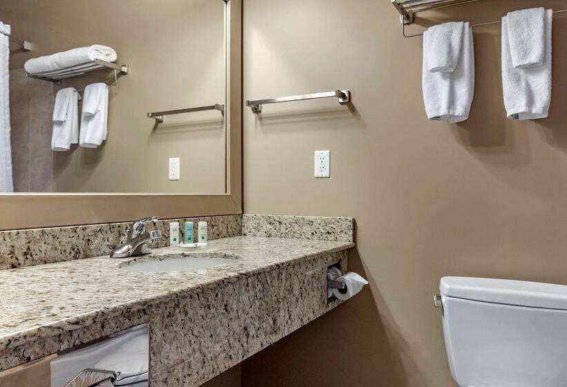 فندق Quality Inn & Suites