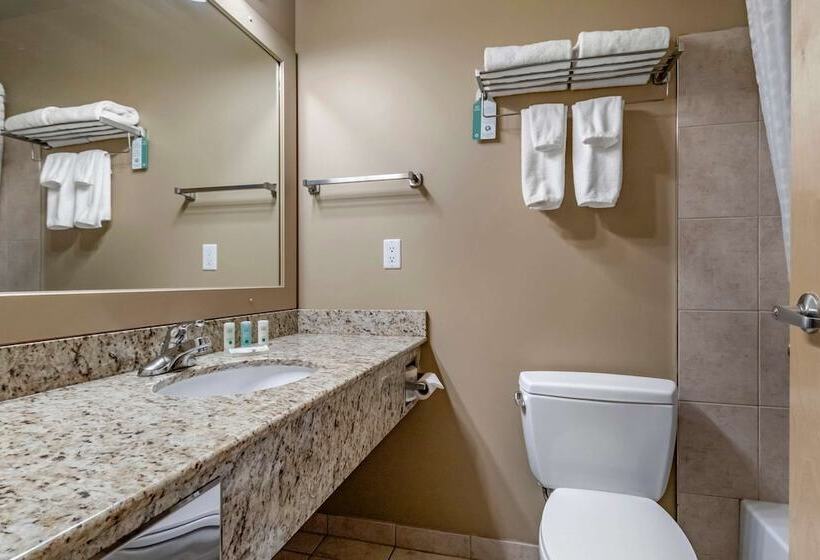 فندق Quality Inn & Suites