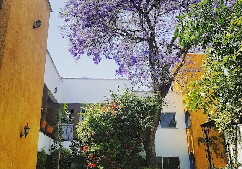 Отель Quinta Lucca